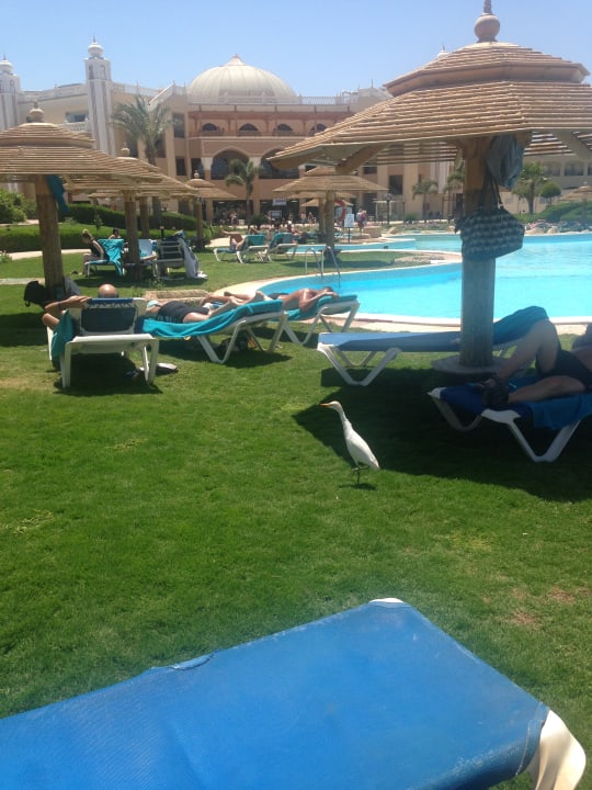 Pool Jasmine Palace Resort & Spa