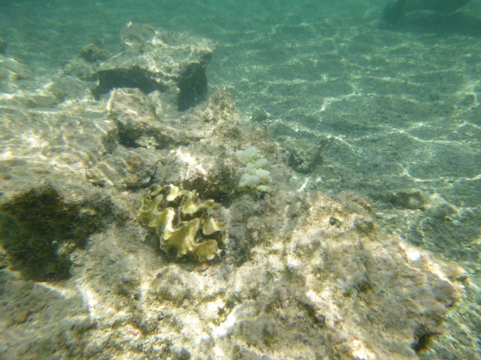 Sport & Freizeit Three Corners Sea Beach Resort