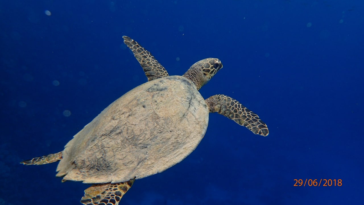 Strand Casa Mare Resort