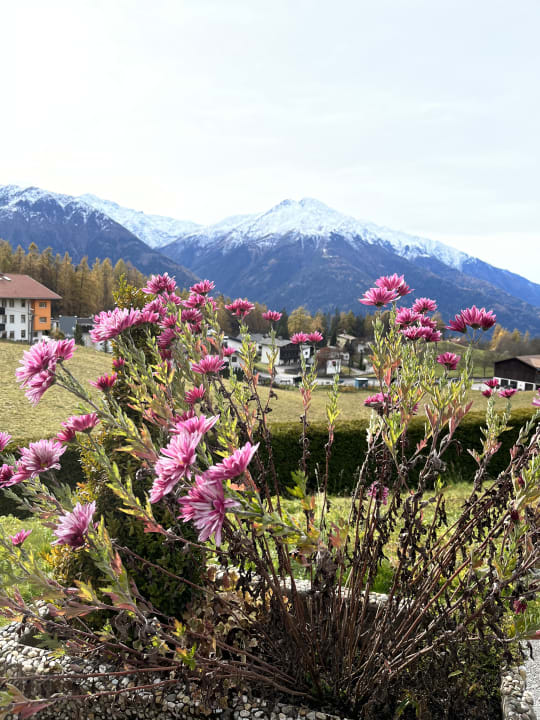 Gartenanlage Hotel Zum Gourmet