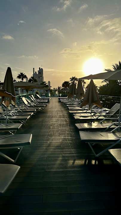 Gartenanlage allsun Hotel Los Hibiscos