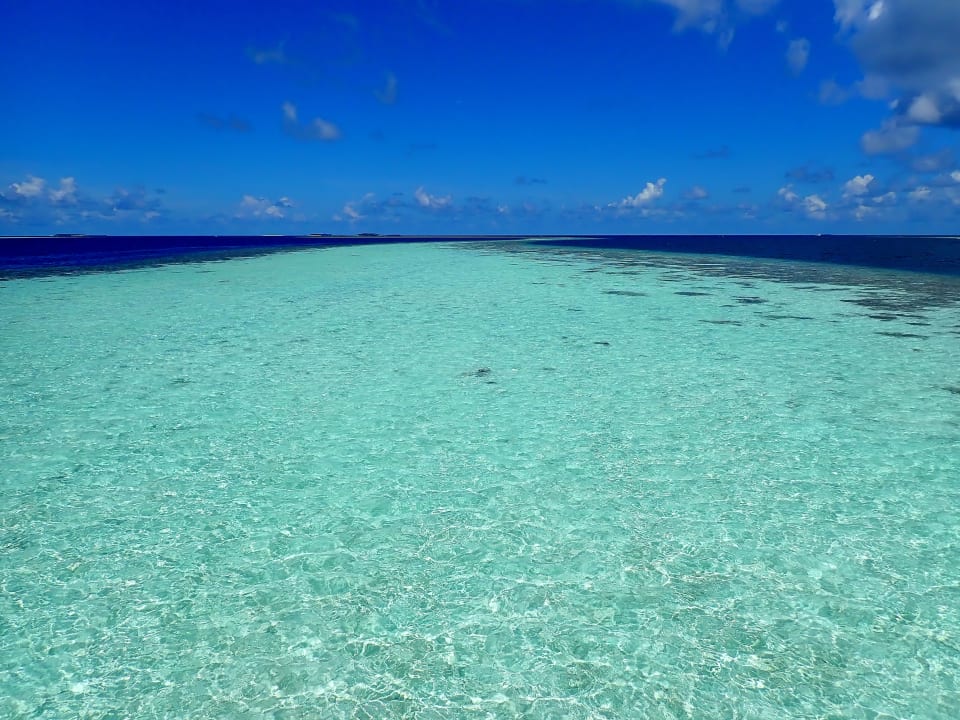 Ausblick Vilamendhoo Island Resort & Spa