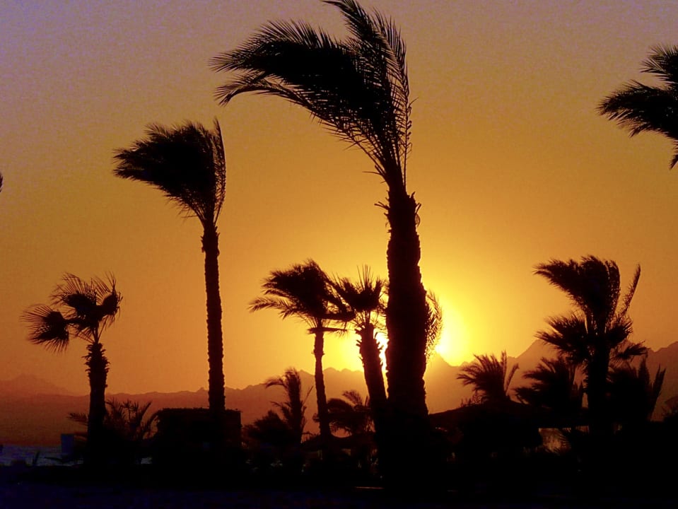 Ausblick ROBINSON SOMA BAY