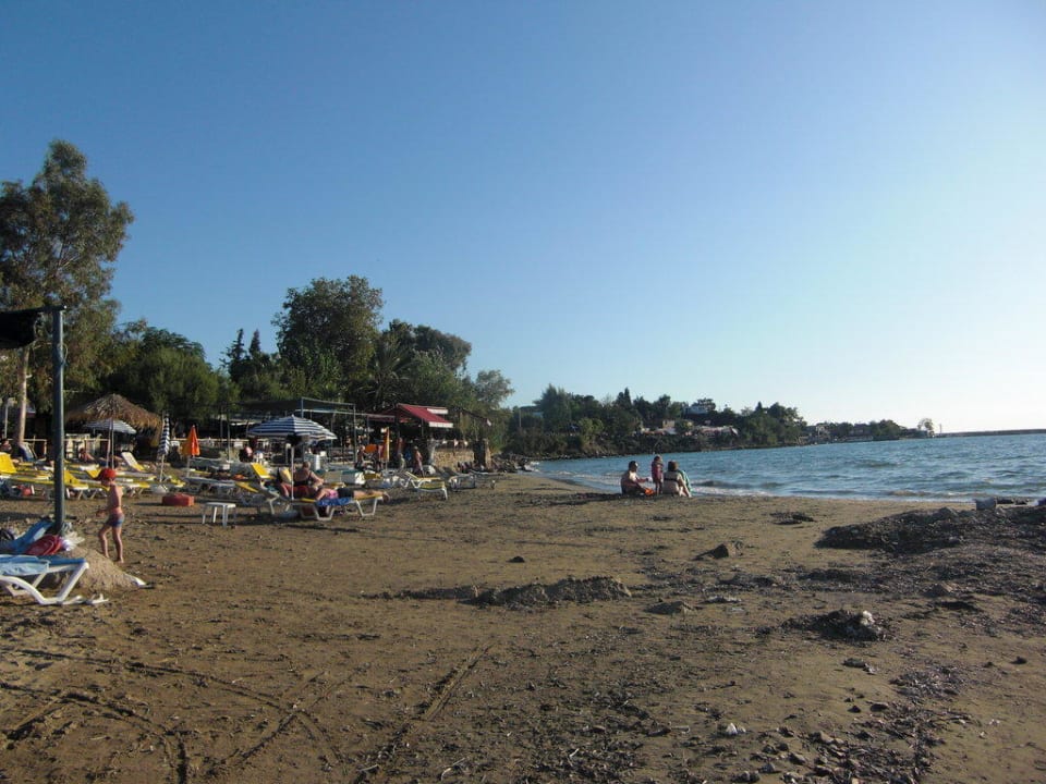 Sauberer Sandstrand Hotel Neptün/Neptun
