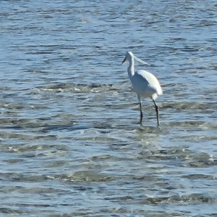 Strand Casa Mare Resort
