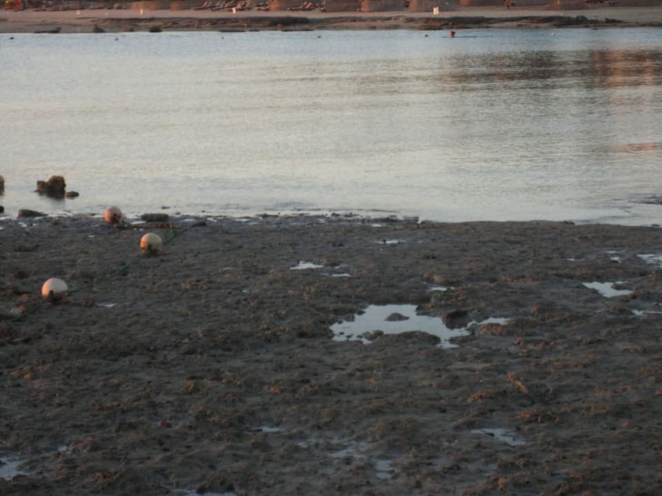 Einstieg bei Ebbe Brayka Bay Resort