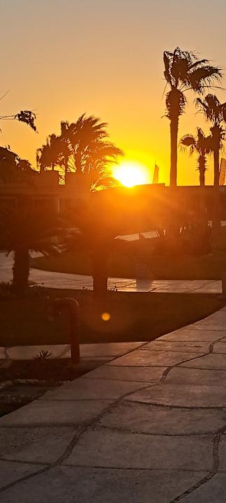 Außenansicht Shams Prestige Abu Soma-Adults Only