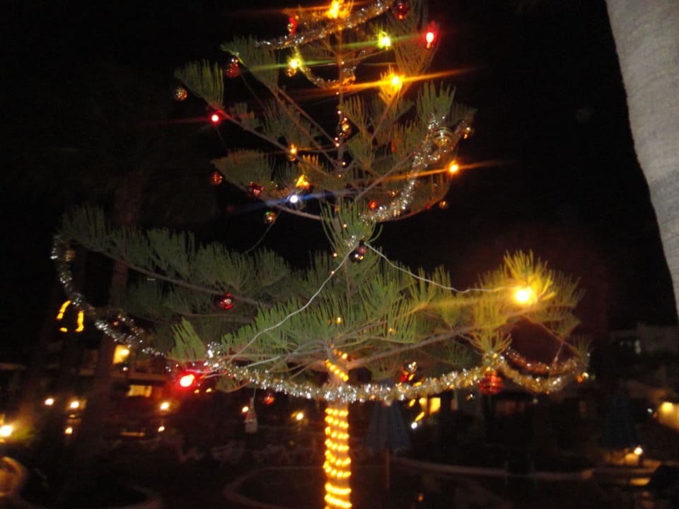 Weihnachtsbaum a la Playamar Bungalows & Appartements Playamar
