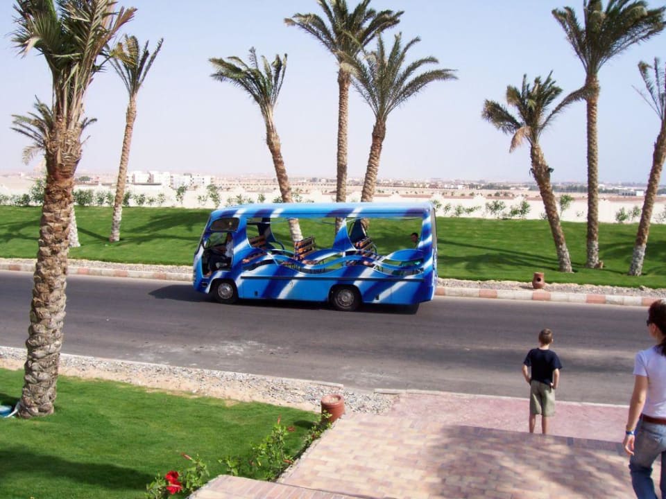 Hotelbus Serenity Alpha Beach