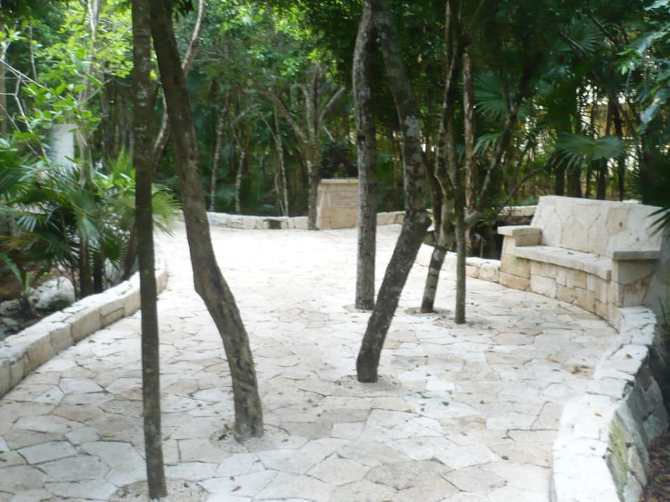 Weg durch die Hotel-Anlage Catalonia Royal Tulum Beach & Spa Resort - Adults only