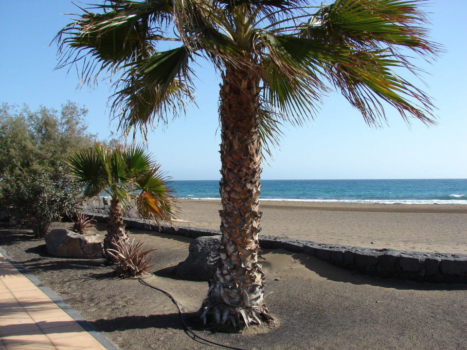 Strand ganz in der Nähe Hotel Floresta