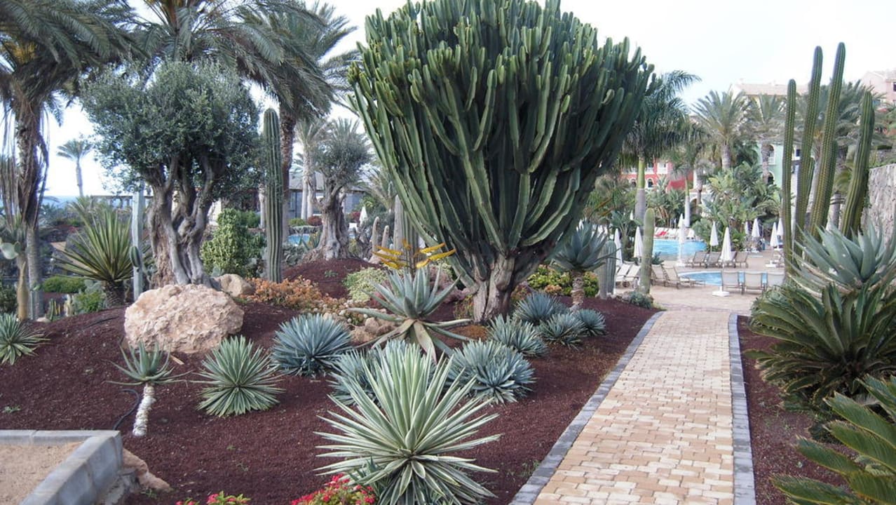 Garten R2 Rio Calma Hotel & Spa & Conference