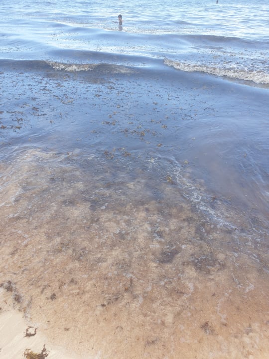 Strand Hotel Riu Palace Punta Cana