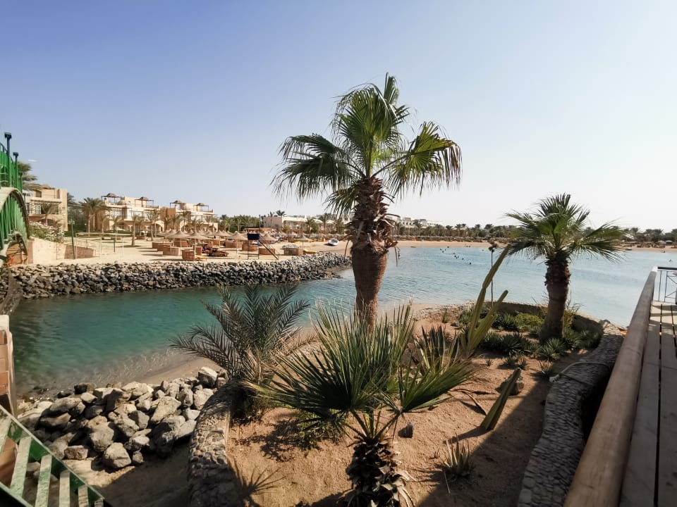 Ausblick Desert Rose