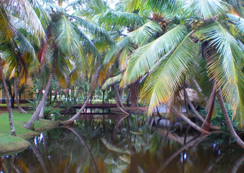 Gartenteich mit Fischen und Schildkröten Wyndham Alltra Samana