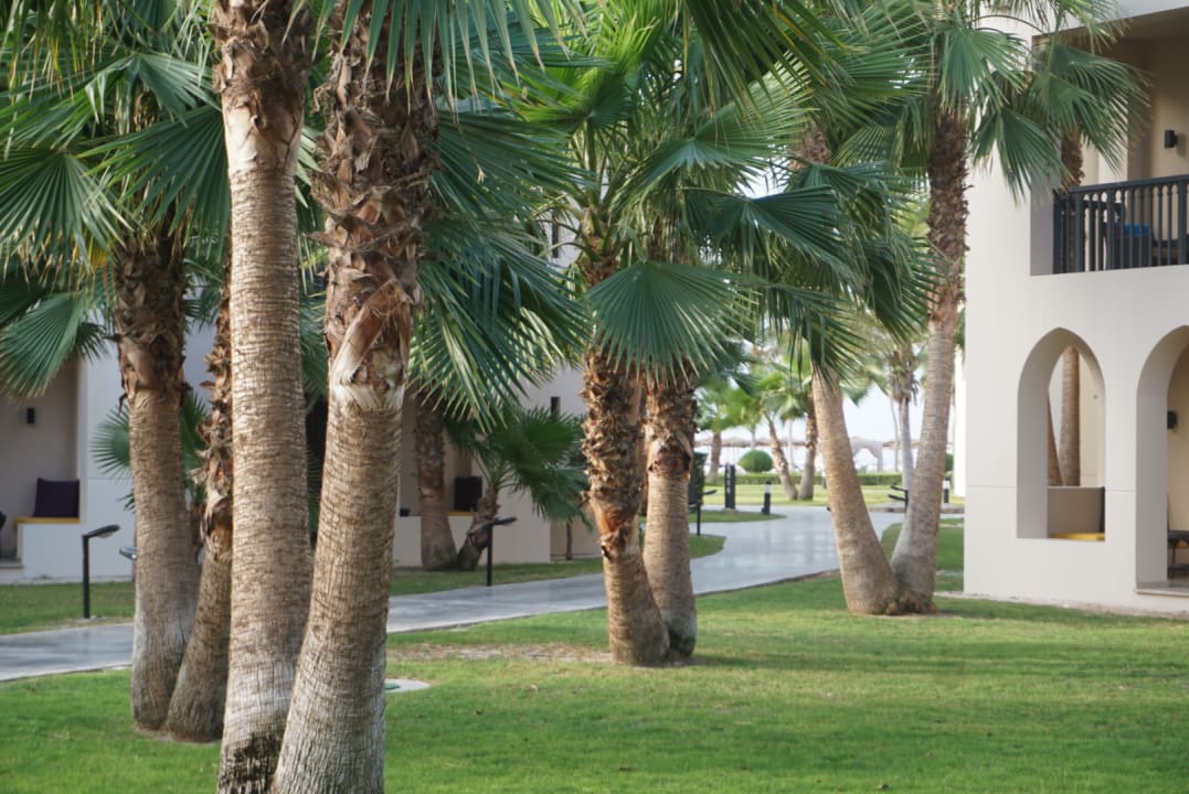 Gartenanlage Salalah Rotana Resort