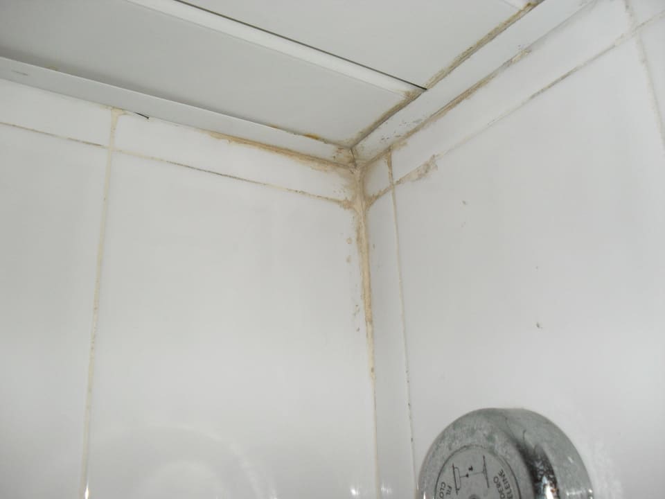 Dusche Starfish Cuatro Palmas