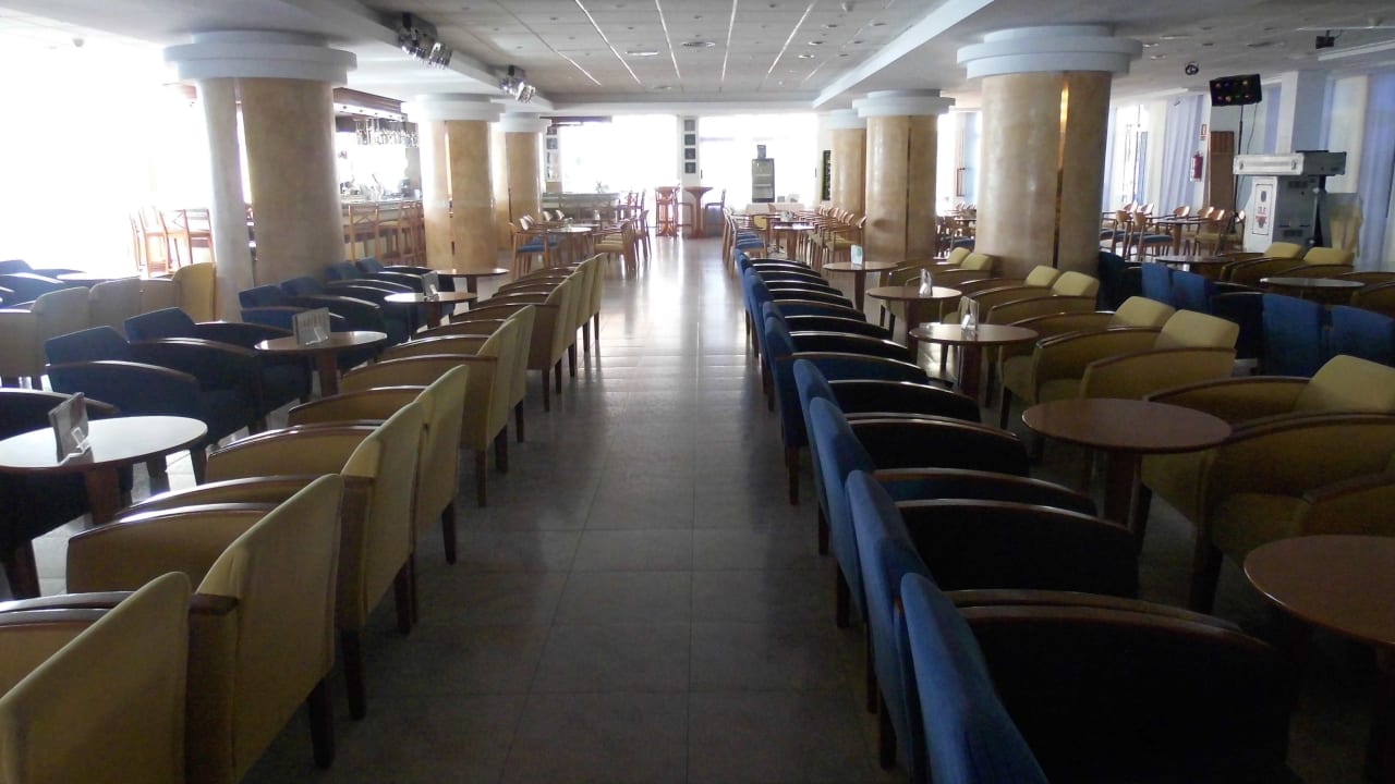 Noch ist alles flott geordnet Hotel Oleander