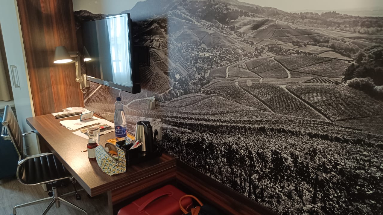 Zimmer ibis Styles Offenburg City