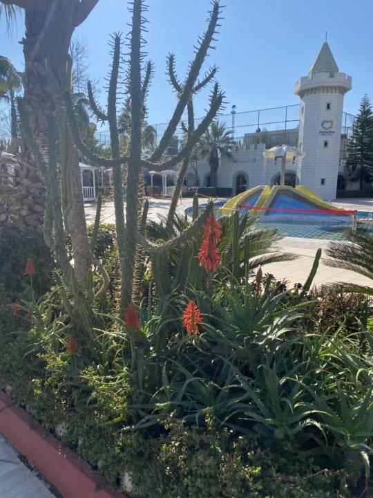 Gartenanlage Hotel Delphin Imperial
