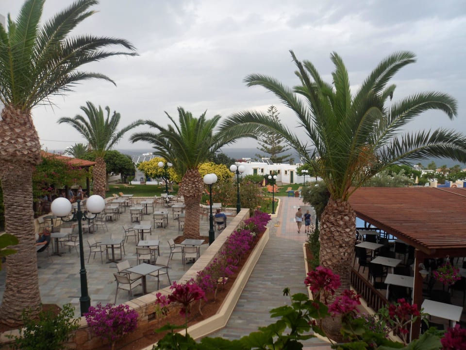 Garten TUI SUNEO Chrissi Amoudia