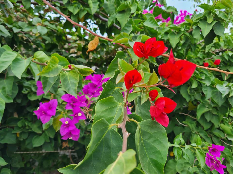 Außenansicht Laguna Holiday Resort