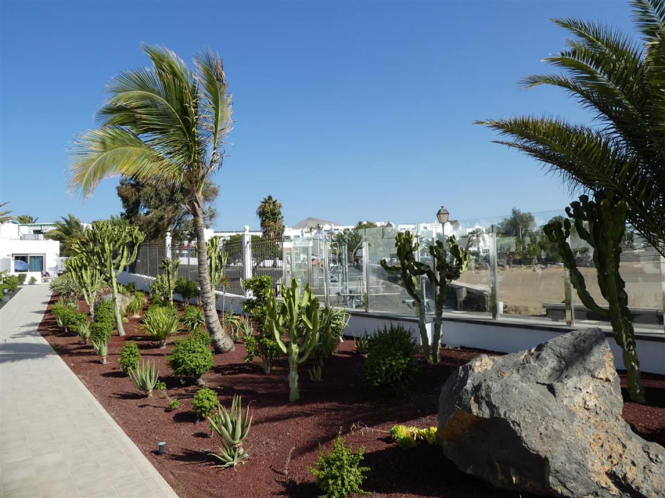Gartenanlage Hotel Las Costas