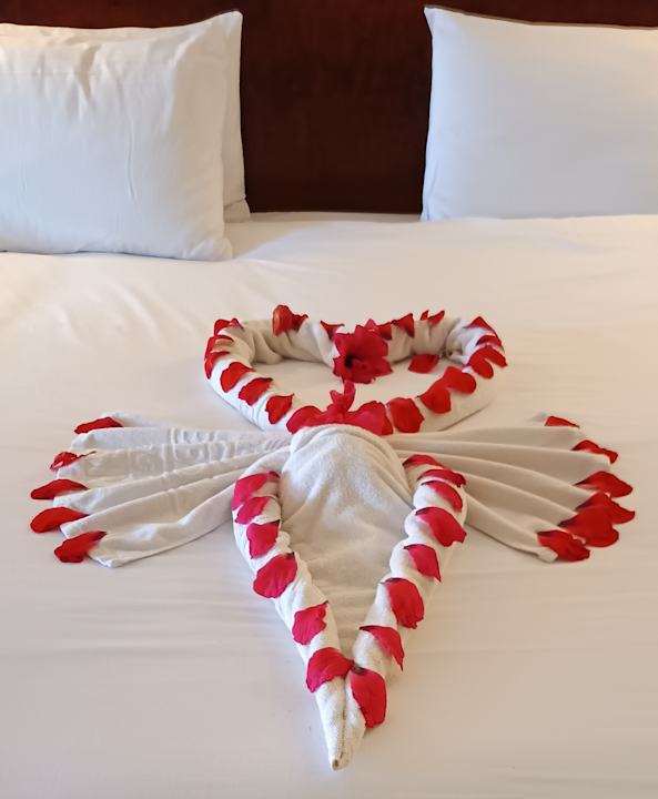 Zimmer Siva Golden Bay Makadi