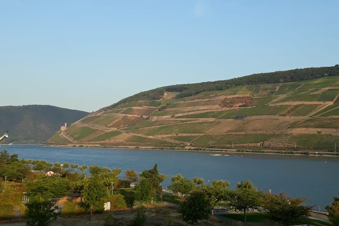 Ausblick PAPA RHEIN - Hotel & Spa
