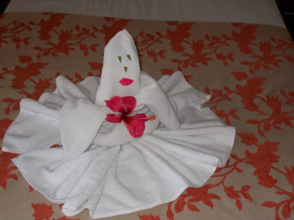 So überrascht einen das Reinigungspersonal Iberostar Origin Laguna Azul