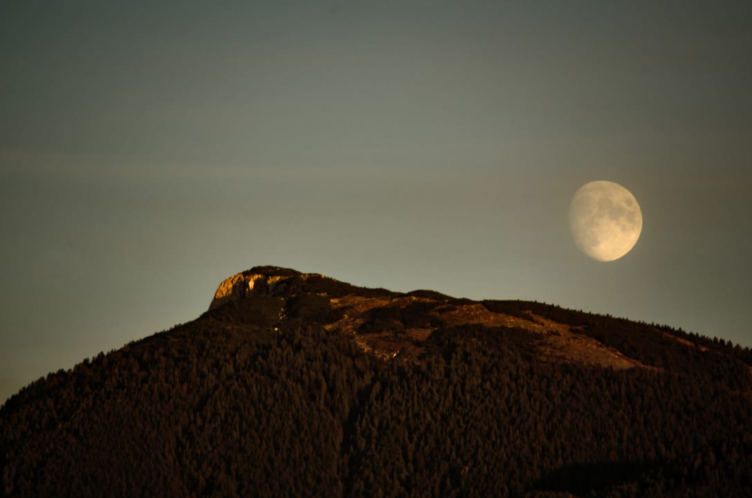 Ausblick Hotel Rutar Lido