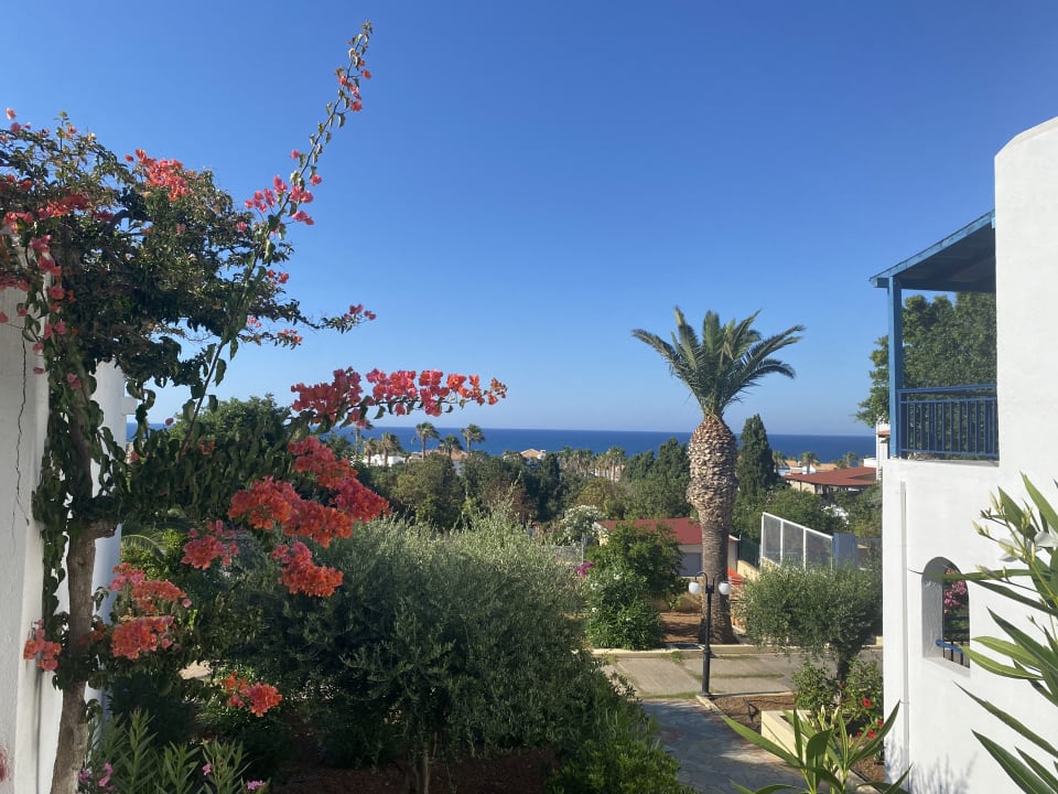 Außenansicht TUI SUNEO Chrissi Amoudia