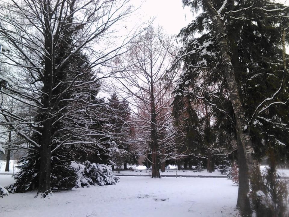 Park im Januar Parkhotel Jordanbad