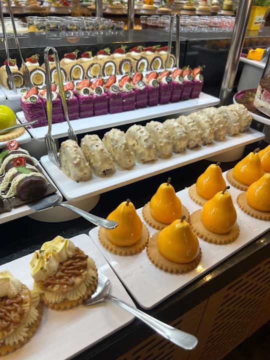 Gastro Seashell Vega