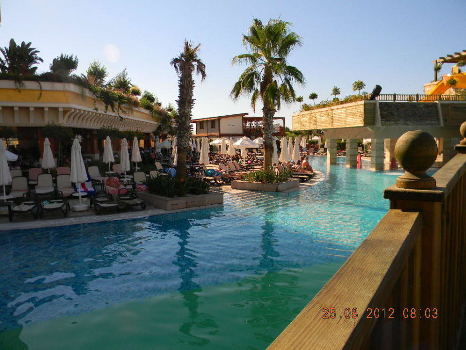 One of the view of the swimmingpool Diamond Excellence Resort & Spa