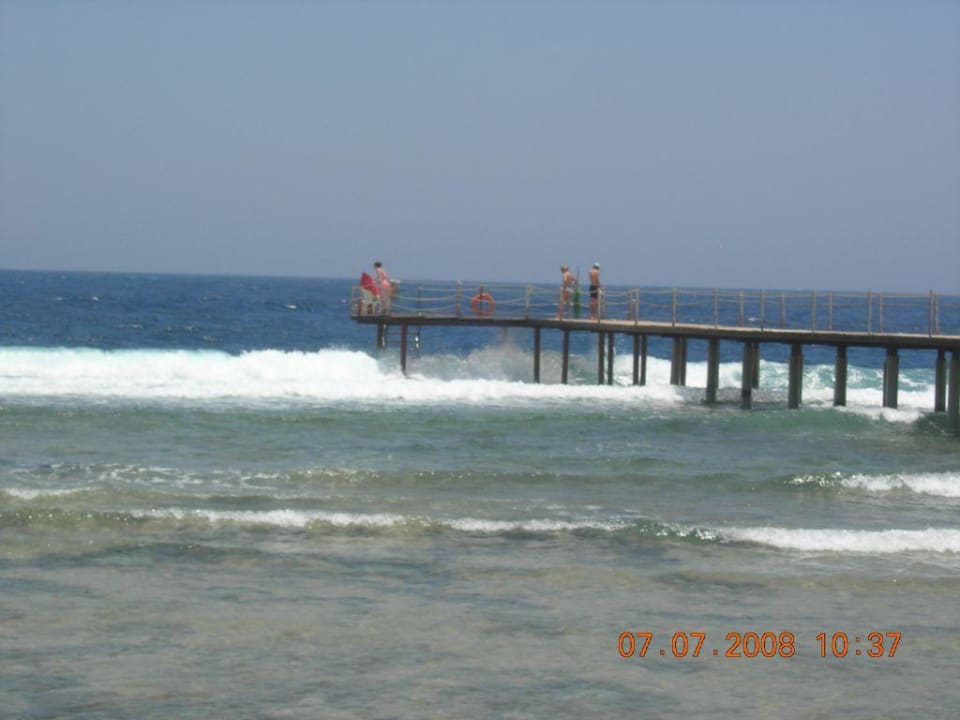 Schwimmen/Schnorcheln am Riff; immer noch Rot! Three Corners Sea Beach Resort