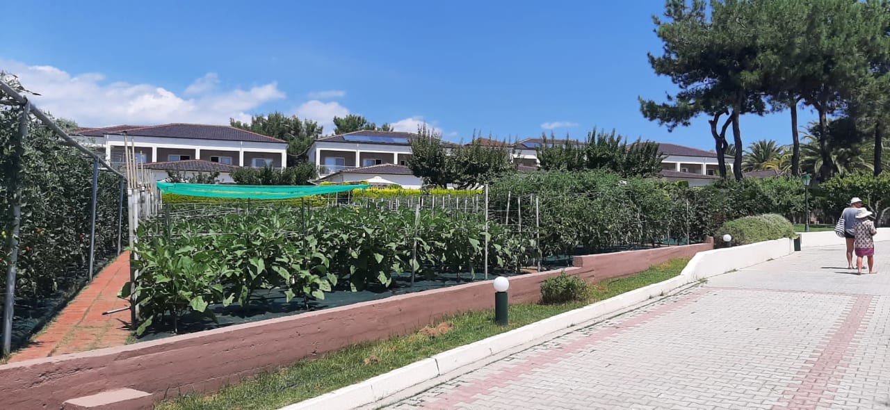 Gartenanlage Alexandra Beach Thassos Spa Resort