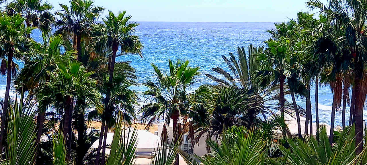 Ausblick Hotel Riu Palace Oasis