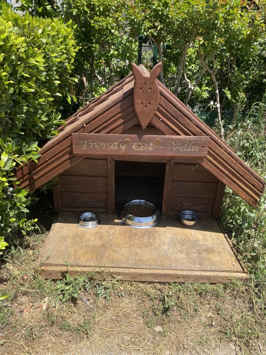 Gartenanlage Sentido Trendy Verbena Beach