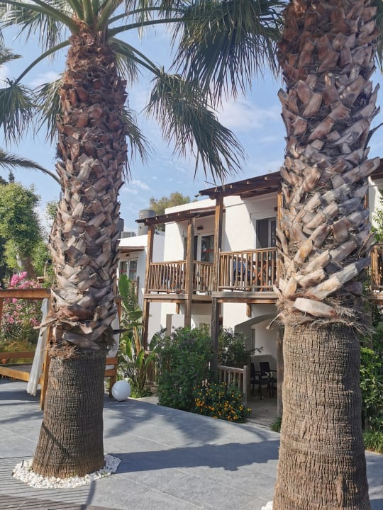 Gartenanlage Very Chic Bodrum Adult Only