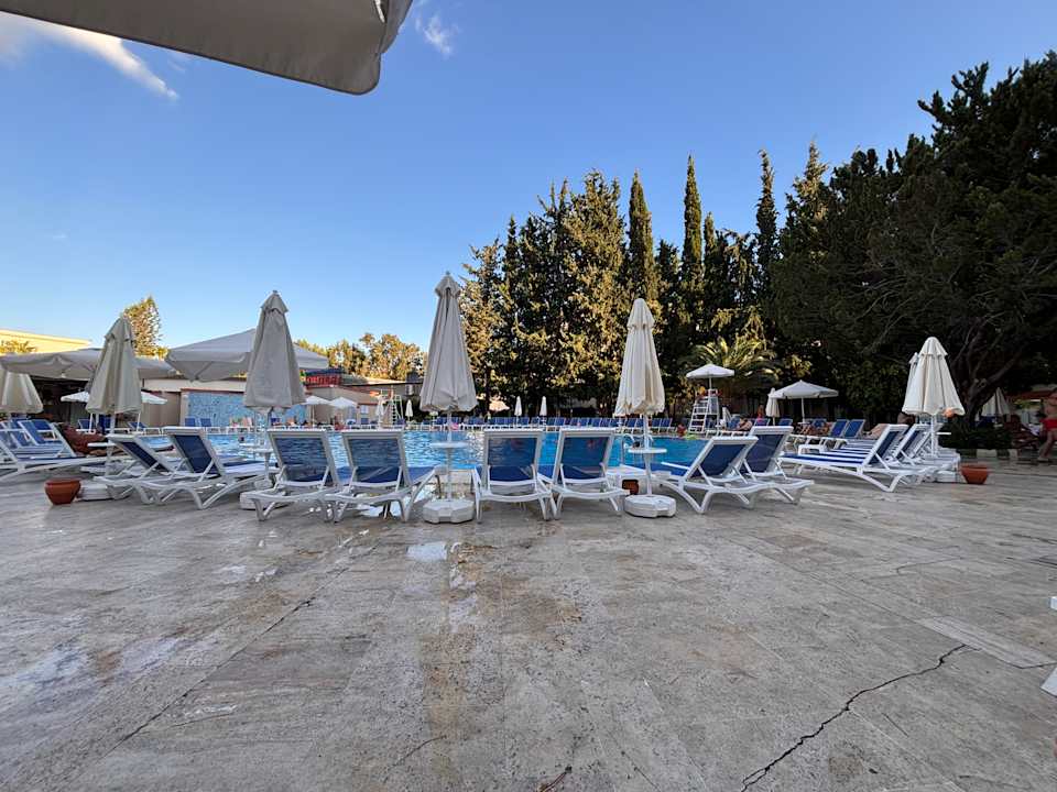 Pool Asteria Collection Side