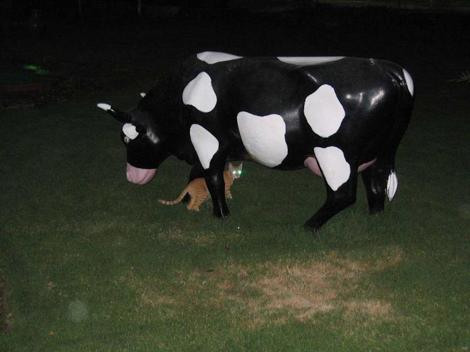 Am Minigolfplatz Pickalbatros Alf Leila Wa Leila Resort - Neverland Hurghada