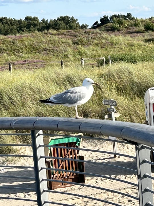 Strand Ferienwohnungen Ferienpark Weissenhäuser Strand