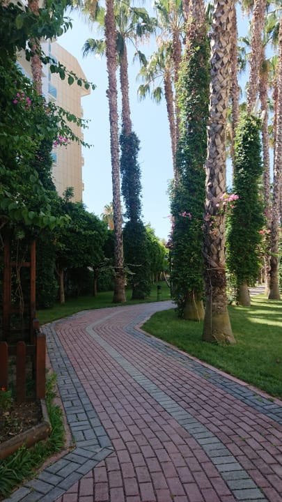 Gartenanlage Hotel Gardenia Beach
