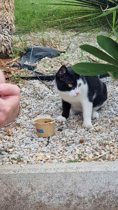 Gartenanlage Hotel Aphrodite Beach Club