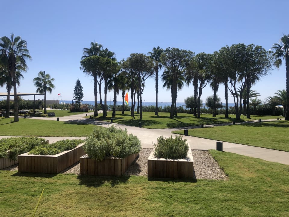 Außenansicht Paloma Finesse