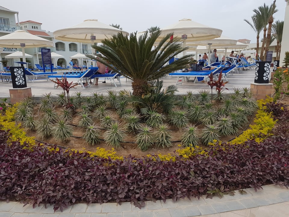 Gartenanlage Pickalbatros Dana Beach Resort - Hurghada