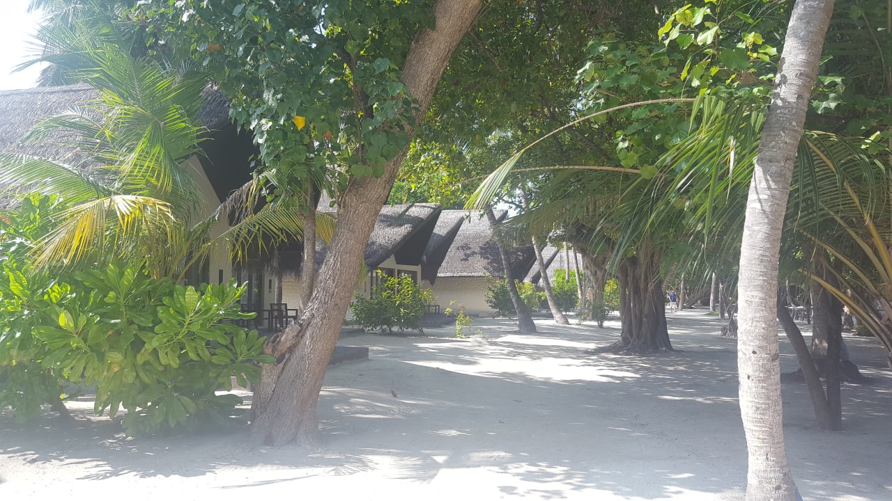 Gartenanlage Adaaran Select Hudhuran Fushi - Premium All Inclusive