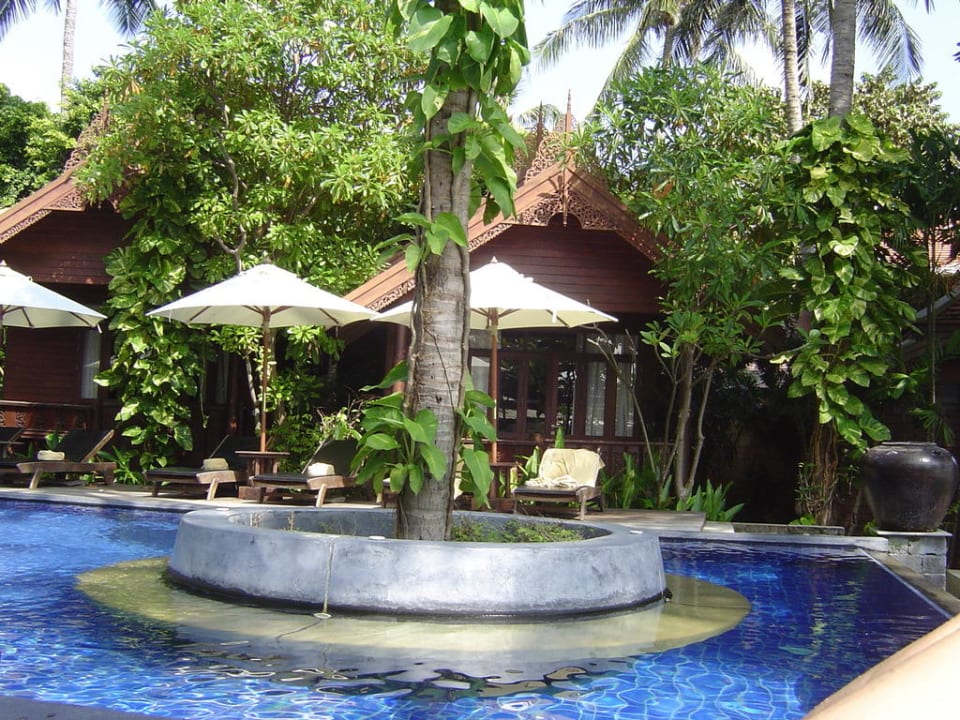 Pool  Samui Paradise Chaweng Beach Resort & Spa