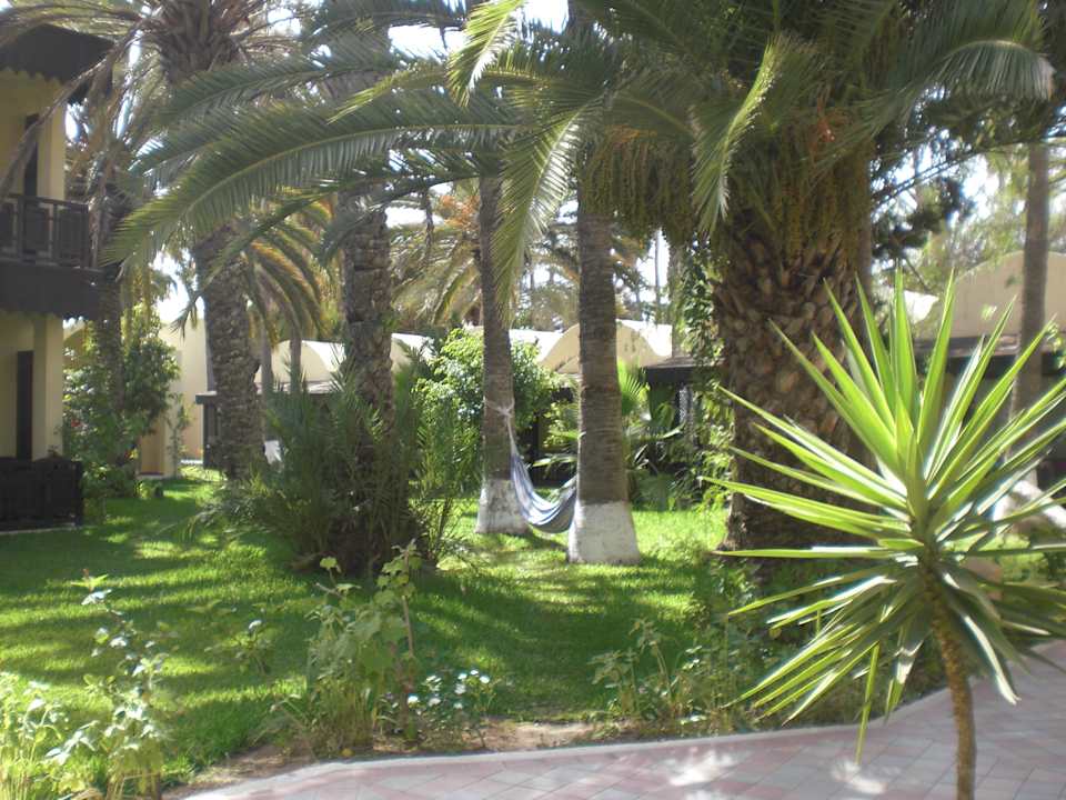 Superbe vue sur les jardins depuis les bungalow Hotel Paradis Palace
